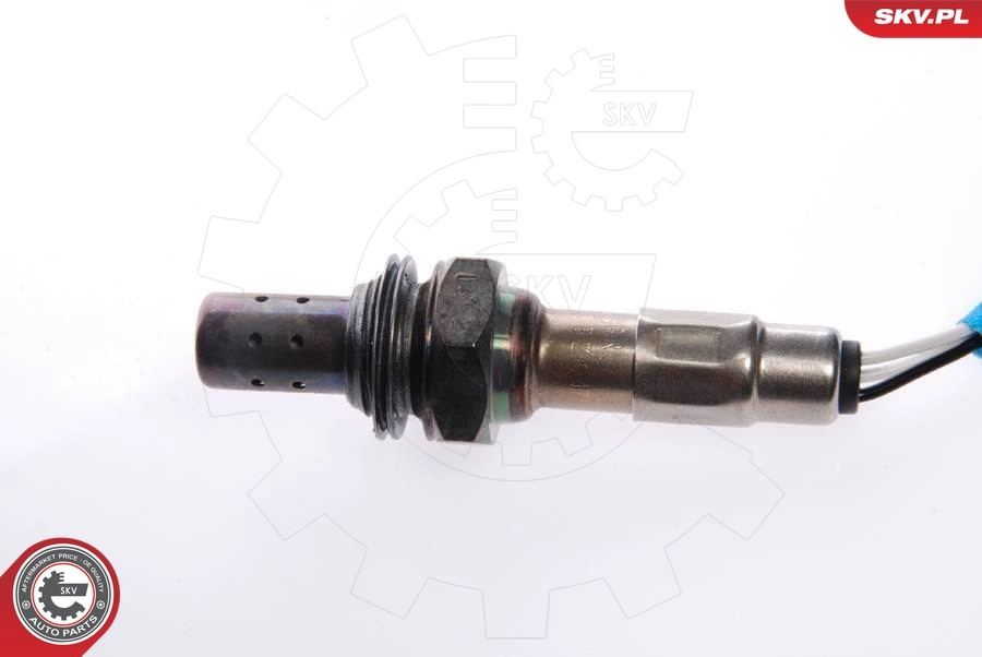 Oxygen Sensor